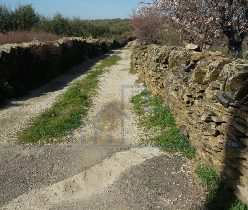 Terreno para Venda em Açoreira Foto 2