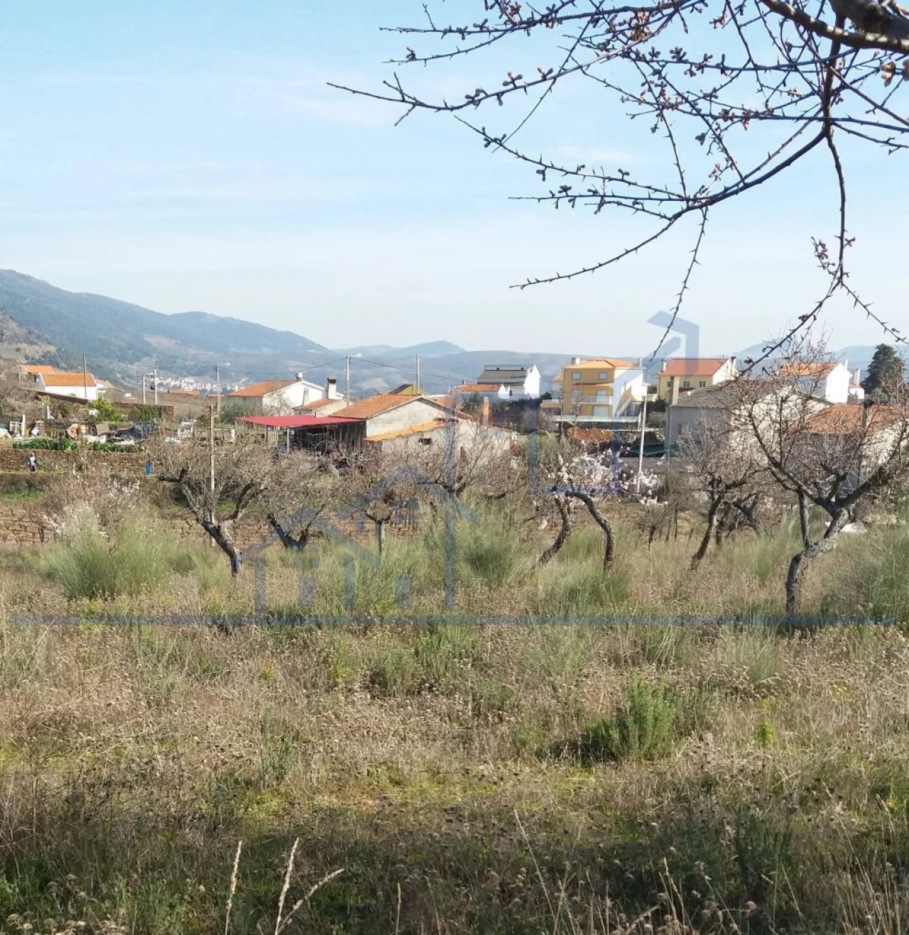 Terreno para Venda em Açoreira Foto 7