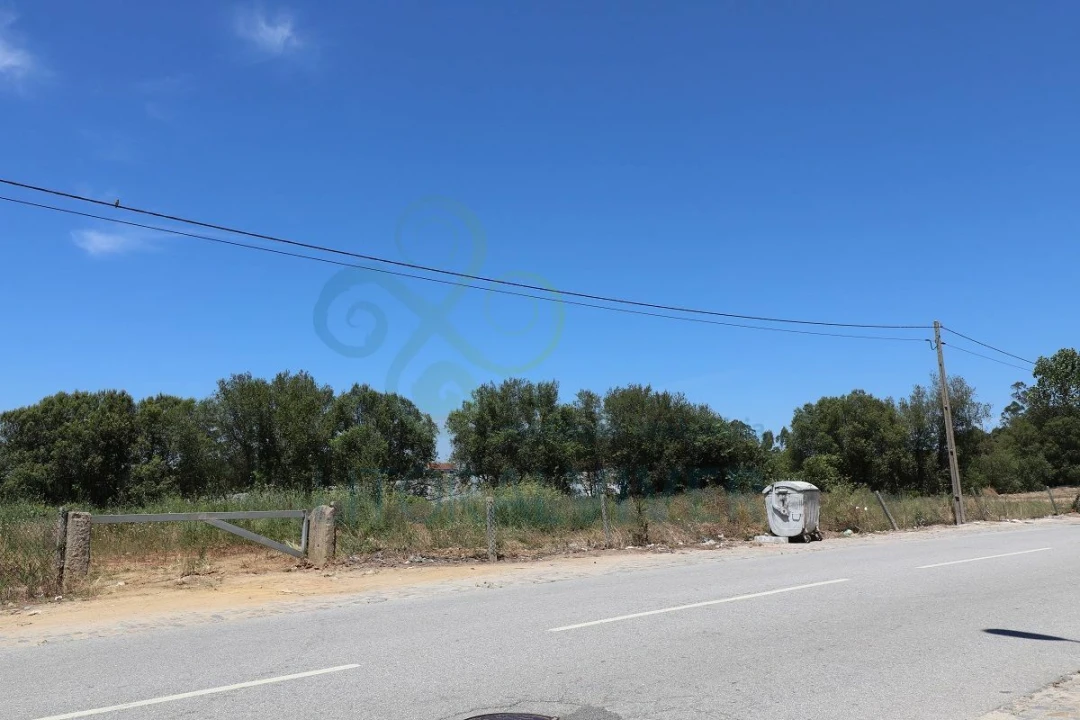 Terreno para Arrendamento em Barqueiros Foto 3