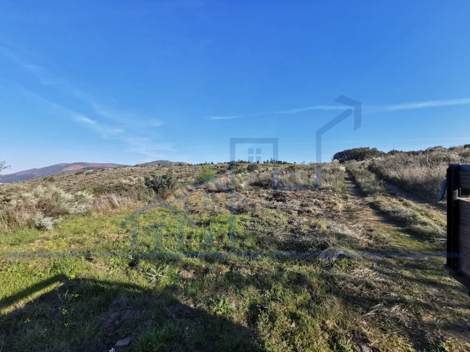 Terreno para Venda em Torre de Moncorvo Foto 12