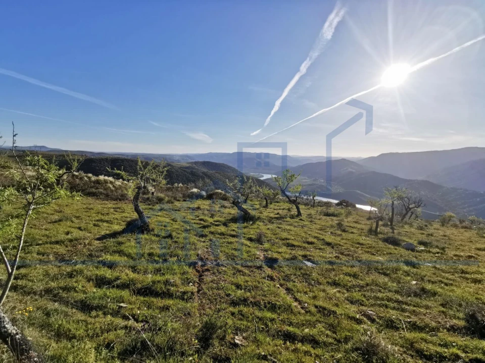 Terreno para Venda em Torre de Moncorvo Foto 16
