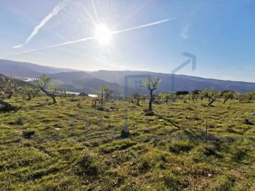 Terreno para Venda em Torre de Moncorvo