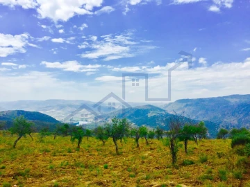 Terreno para Venda em Torre de Moncorvo