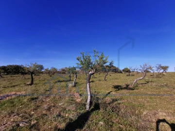 Terreno para Venda em Torre de Moncorvo