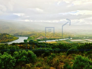 Terreno para Venda em Torre de Moncorvo