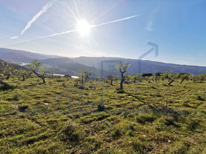 Terreno para Venda em Torre de Moncorvo Foto 15