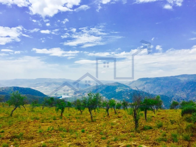 Terreno para Venda em Torre de Moncorvo Foto 7