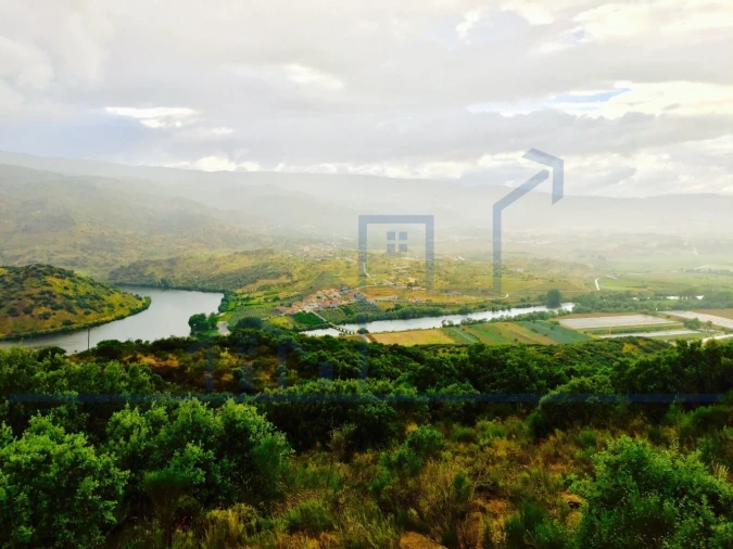 Terreno para Venda em Torre de Moncorvo