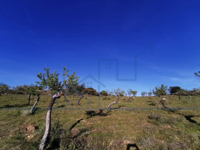 Terreno para Venda em Torre de Moncorvo Foto 17