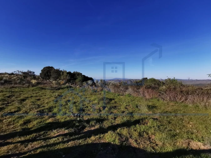 Terreno para Venda em Torre de Moncorvo Foto 13
