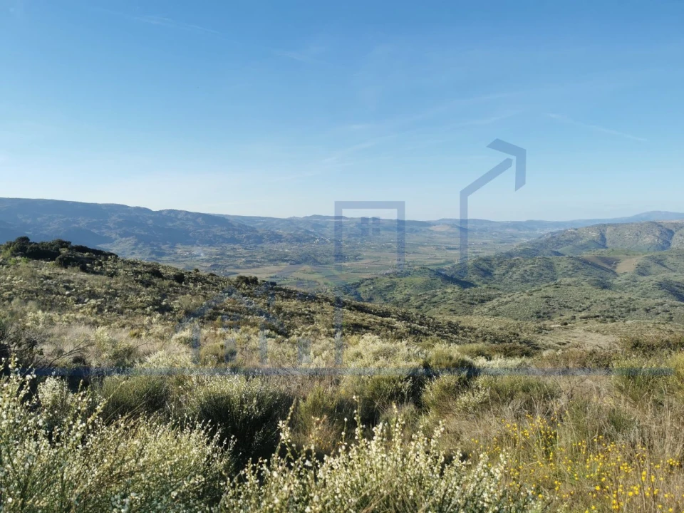Terreno para Venda em Torre de Moncorvo Foto 8