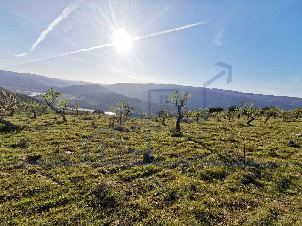 Terreno para Venda em Torre de Moncorvo Foto 15