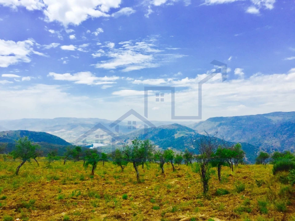 Terreno para Venda em Torre de Moncorvo Foto 7