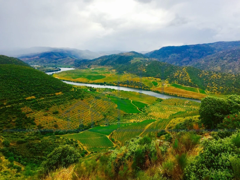 Terreno para Venda em Torre de Moncorvo Foto 4