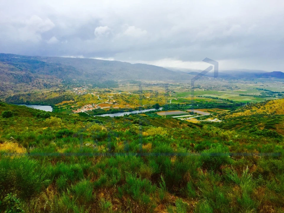 Terreno para Venda em Torre de Moncorvo Foto 3