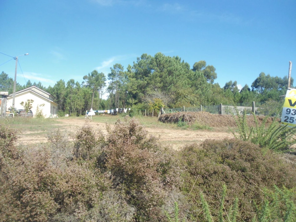 Terreno para Venda em São Pedro da Torre Foto 2