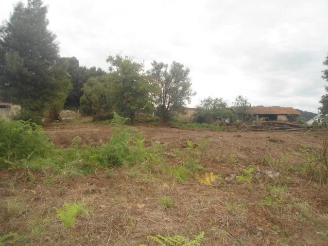 Terreno para Venda em Reboreda e Nogueira Foto 1
