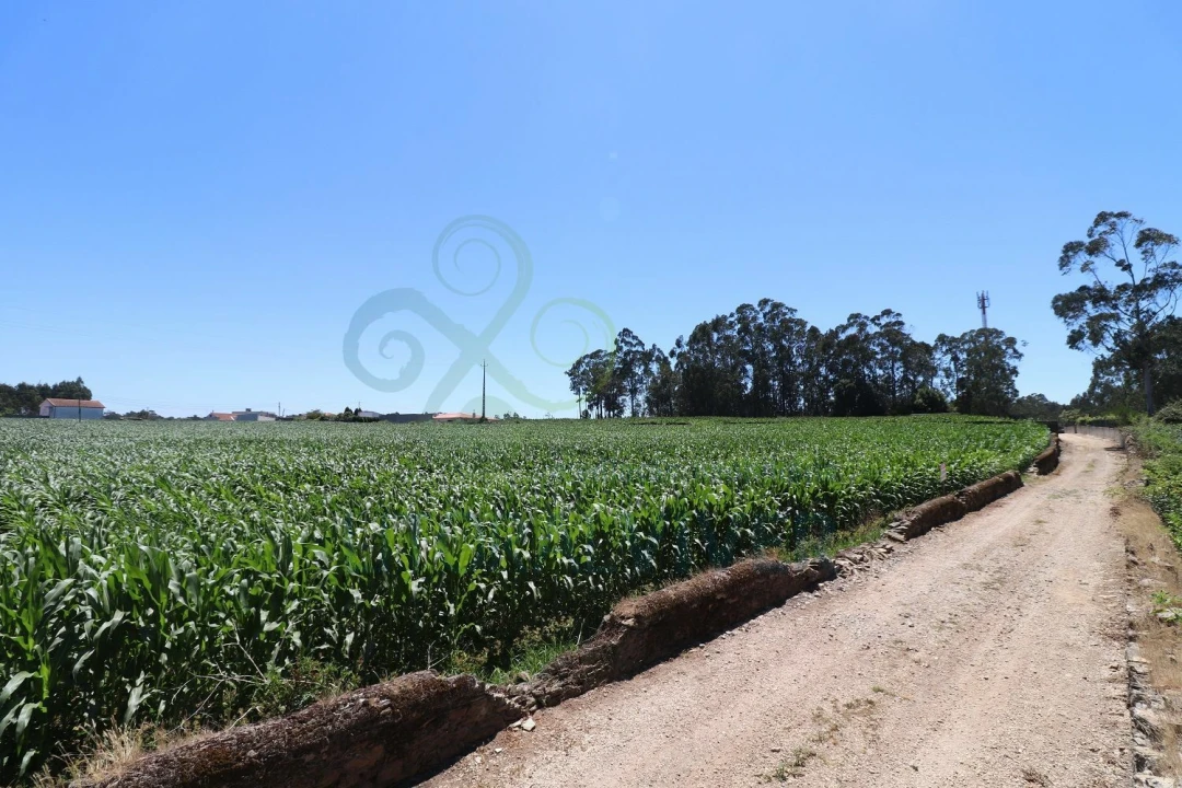 Terreno para Venda em Barqueiros Foto 1