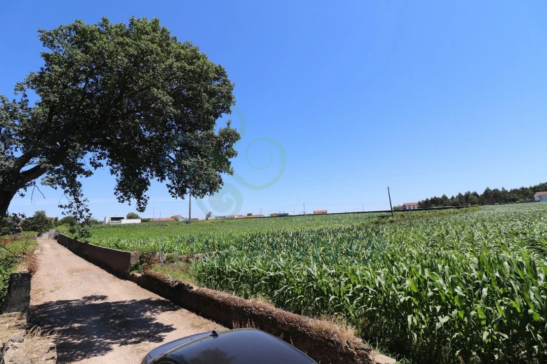 Terreno para Venda em Barqueiros Foto 2
