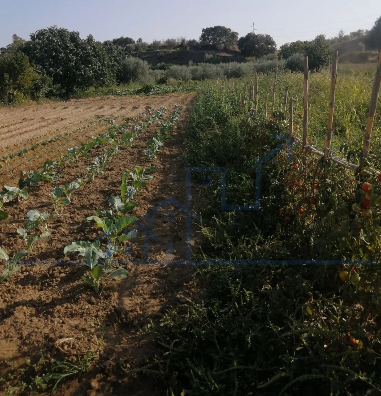 Terreno para Venda em Sampaio Foto 13