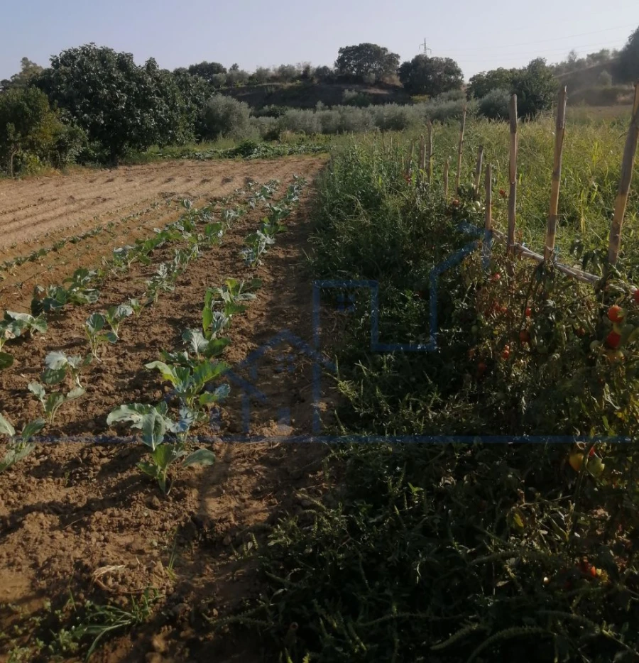 Terreno para Venda em Sampaio Foto 13