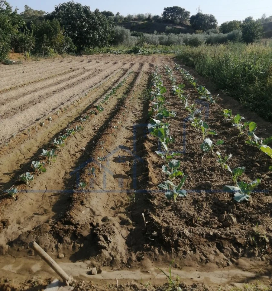 Terreno para Venda em Sampaio Foto 5