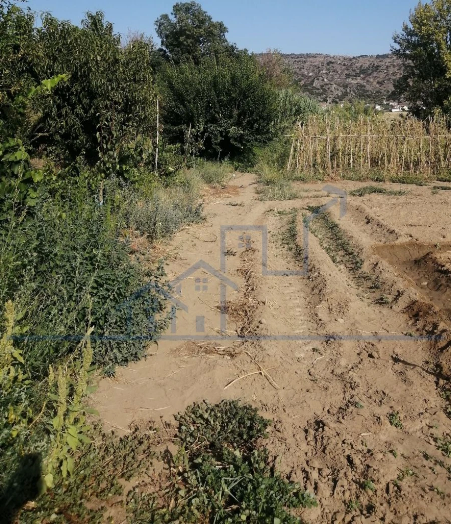 Terreno para Venda em Sampaio Foto 11