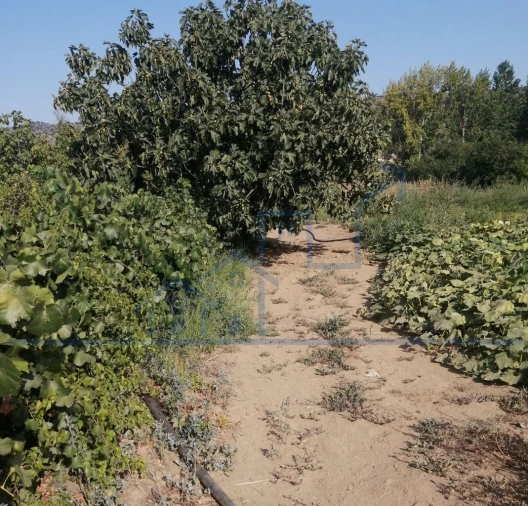 Terreno para Venda em Sampaio