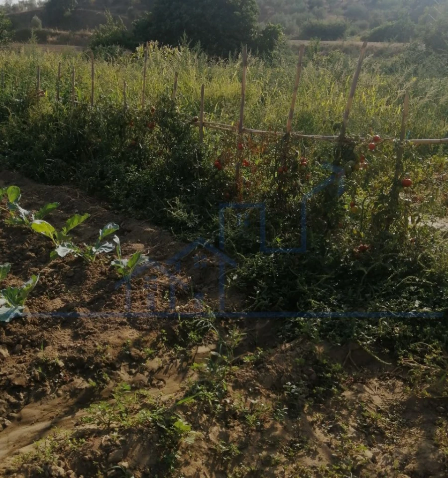 Terreno para Venda em Sampaio Foto 12