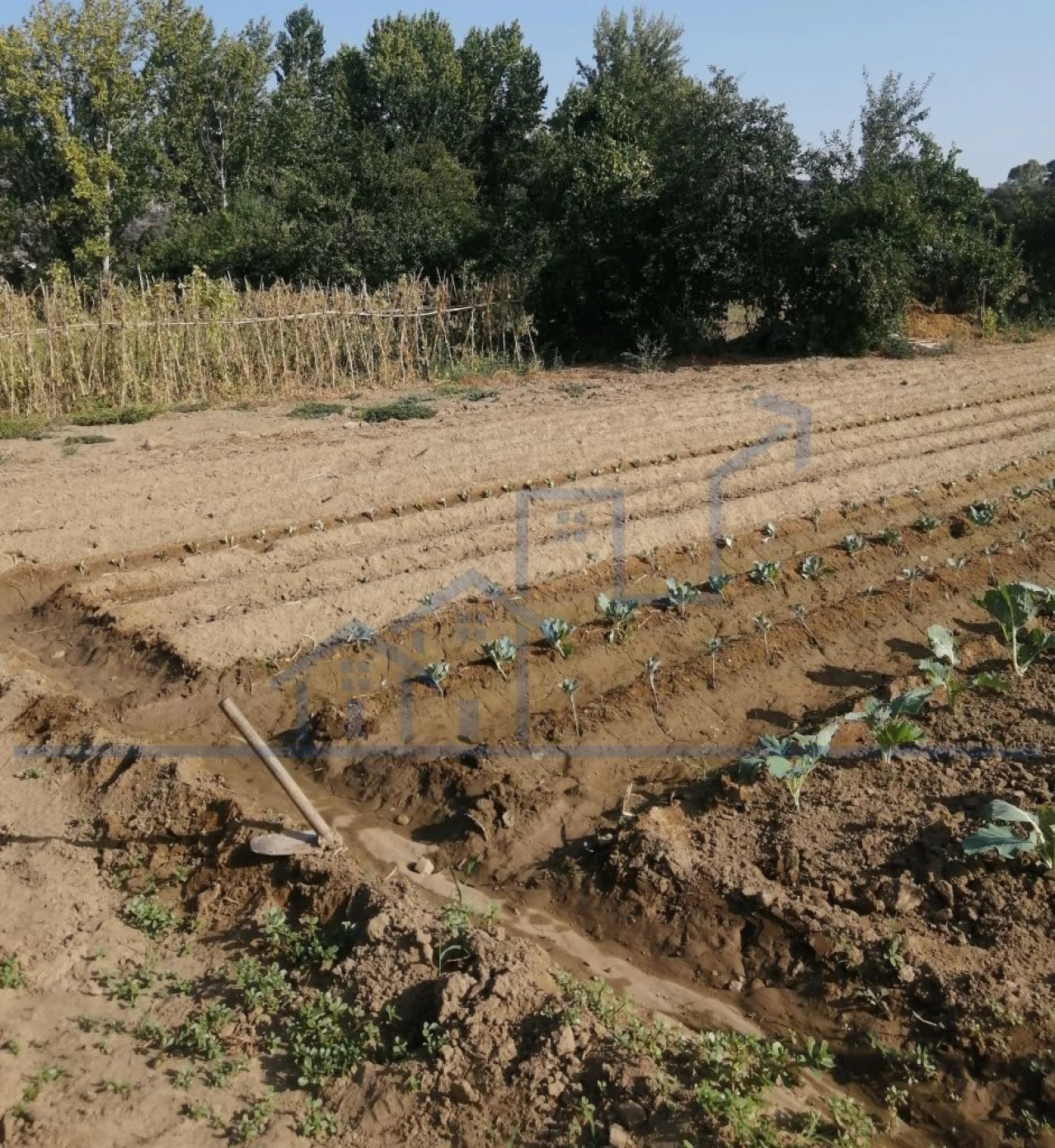 Terreno para Venda em Sampaio Foto 4