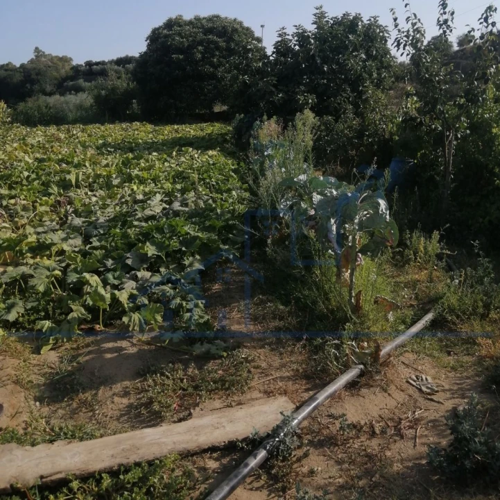 Terreno para Venda em Sampaio Foto 6
