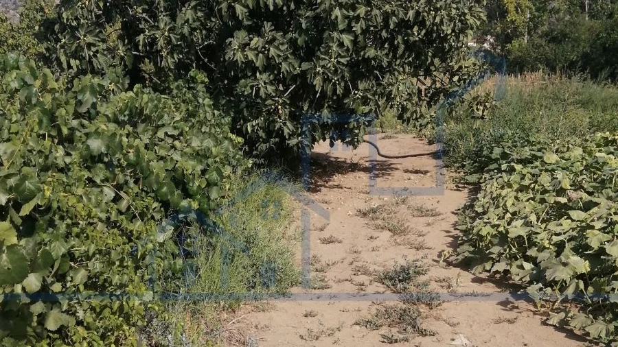 Terreno para Venda em Sampaio