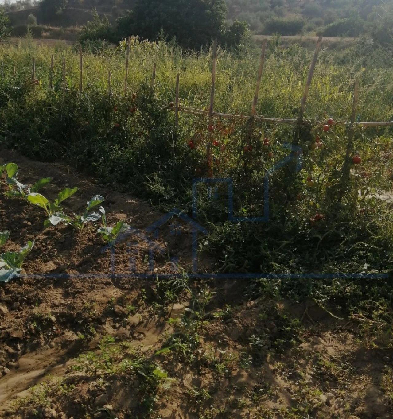 Terreno para Venda em Sampaio Foto 12