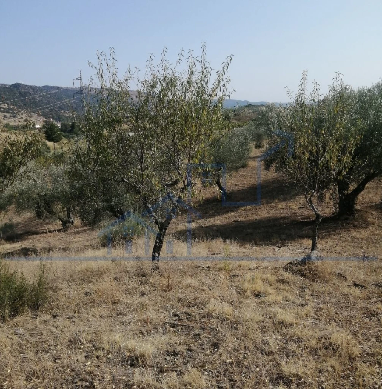 Terreno para Venda em Vila Flor e Nabo Foto 12