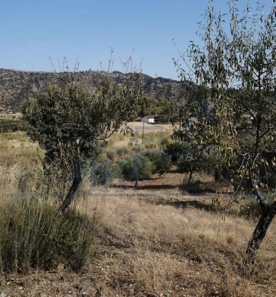 Terreno para Venda em Vila Flor e Nabo Foto 13