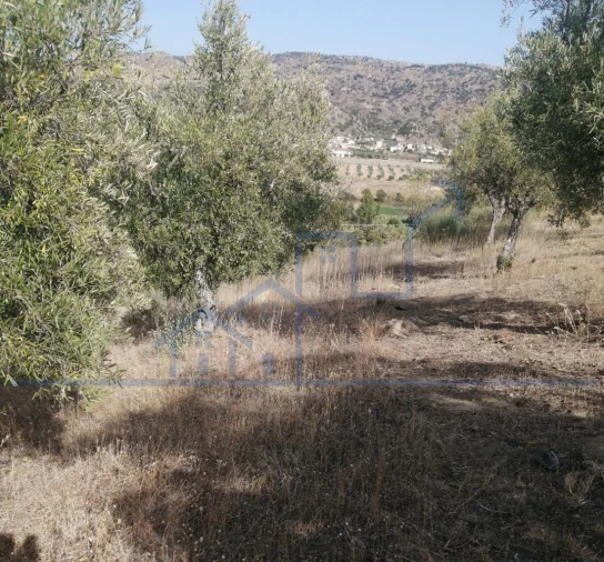 Terreno para Venda em Vila Flor e Nabo Foto 1