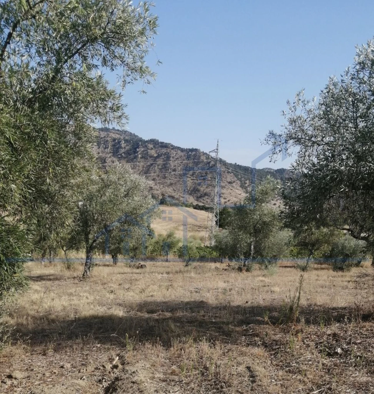 Terreno para Venda em Vila Flor e Nabo Foto 10