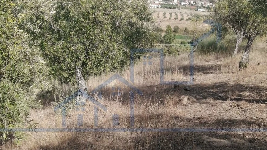 Terreno para Venda em Vila Flor e Nabo