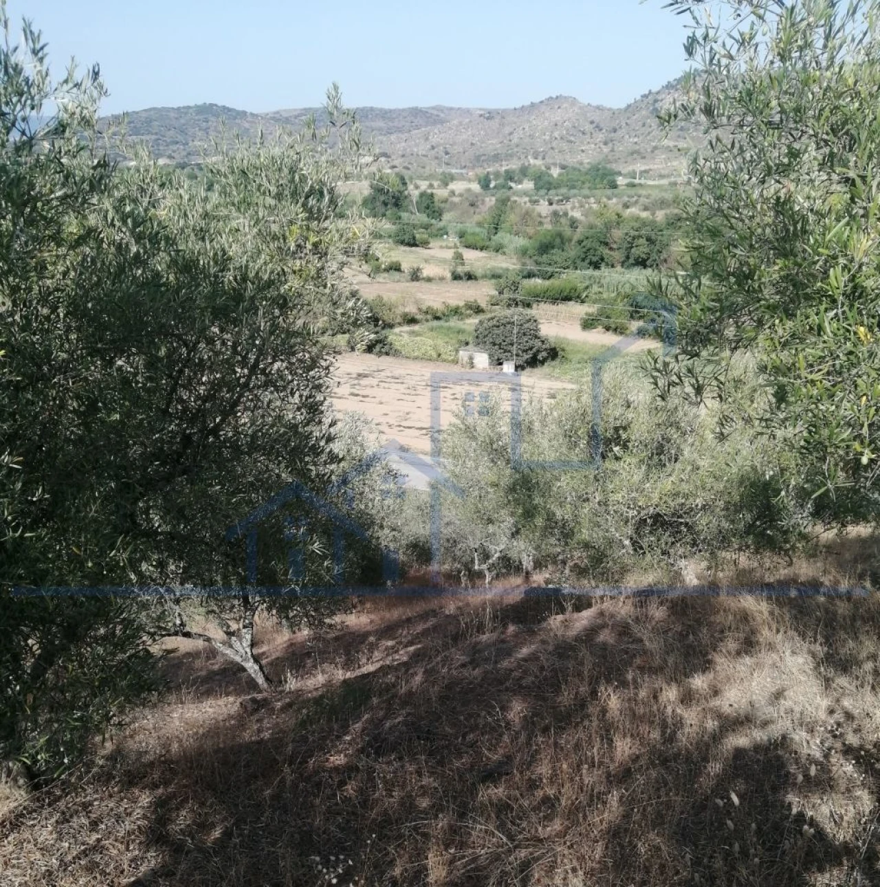 Terreno para Venda em Vila Flor e Nabo Foto 2