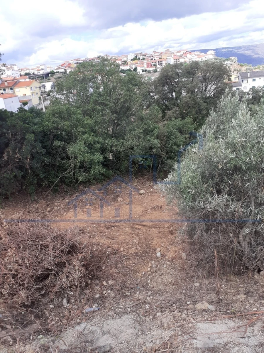 Terreno para Venda em Torre de Moncorvo Foto 3