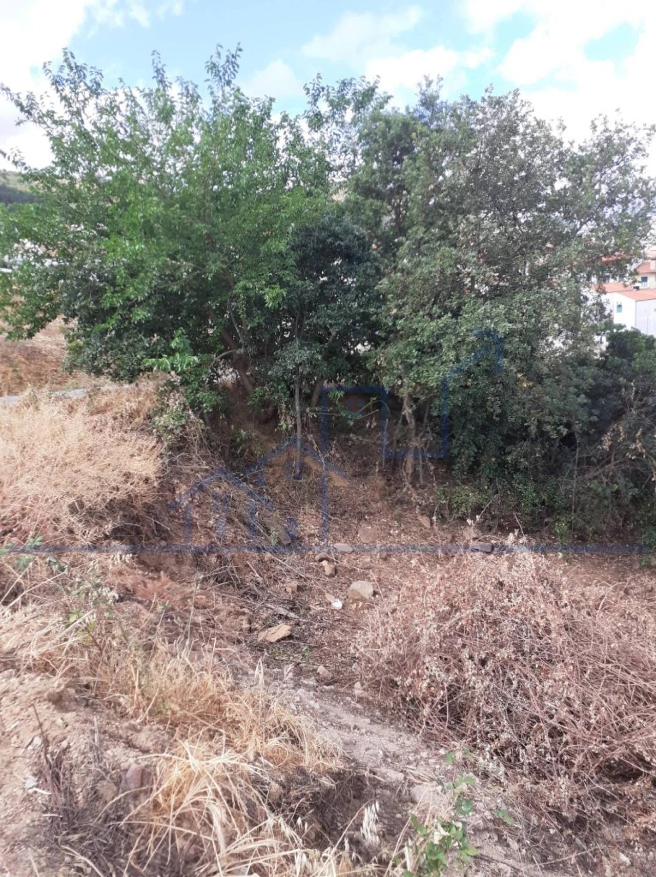 Terreno para Venda em Torre de Moncorvo Foto 2