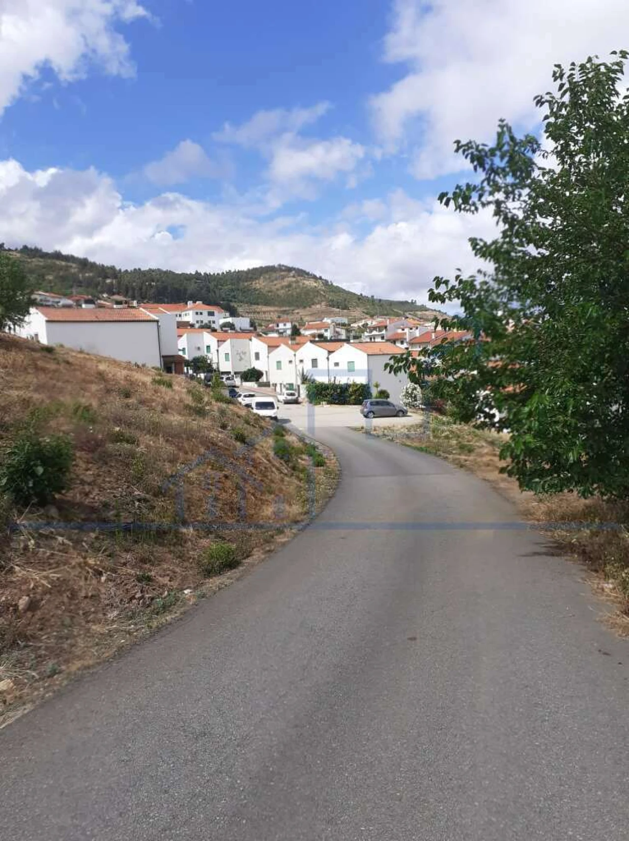 Terreno para Venda em Torre de Moncorvo Foto 7
