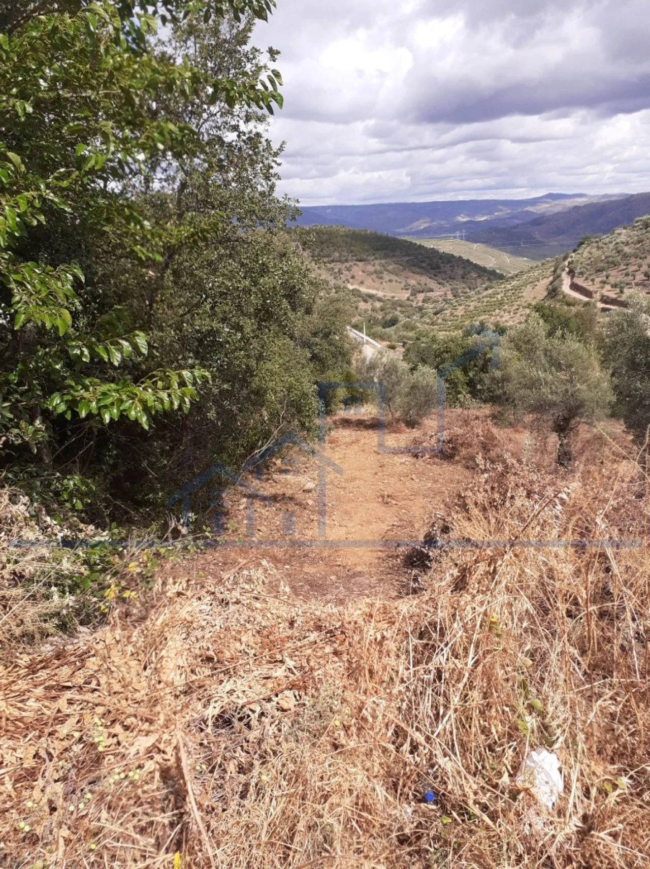 Terreno para Venda em Torre de Moncorvo Foto 5