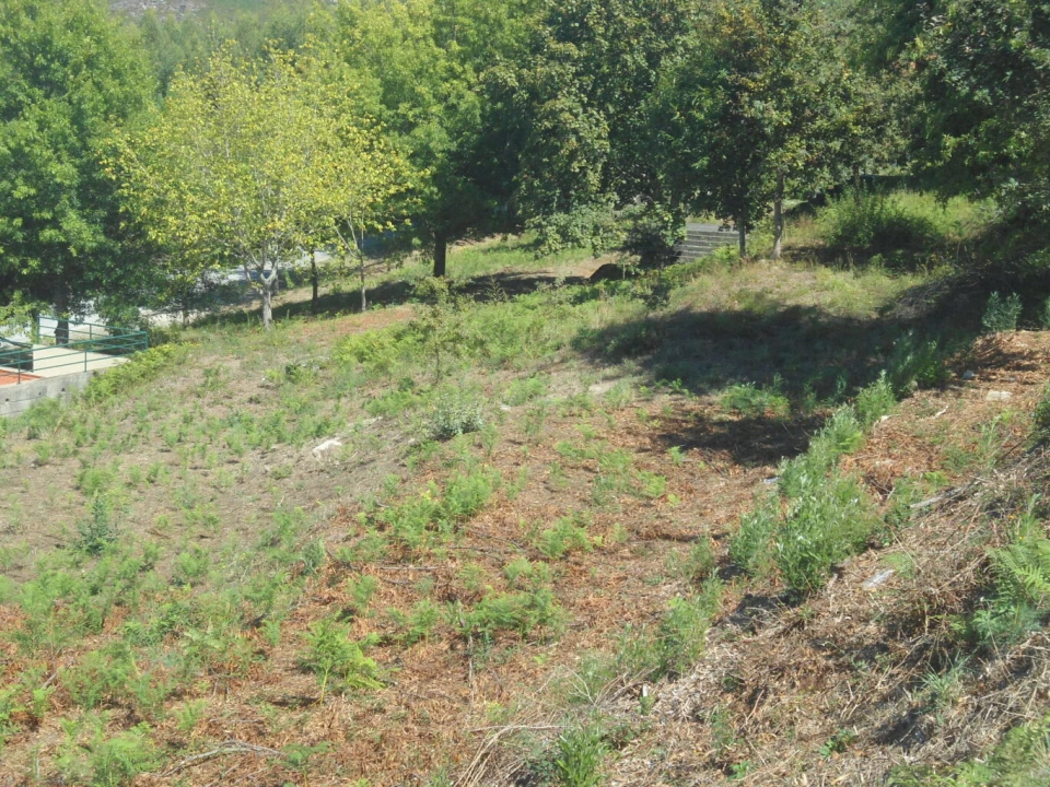Terreno para Venda em Loivo Foto 2