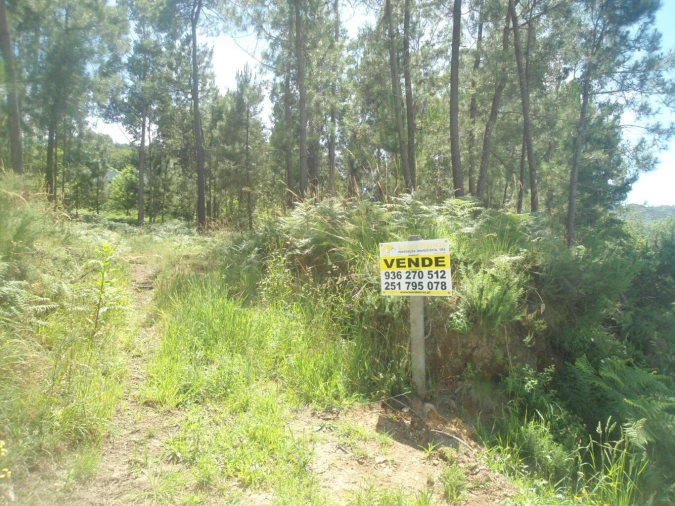 Terreno para Venda em Reboreda e Nogueira Foto 1