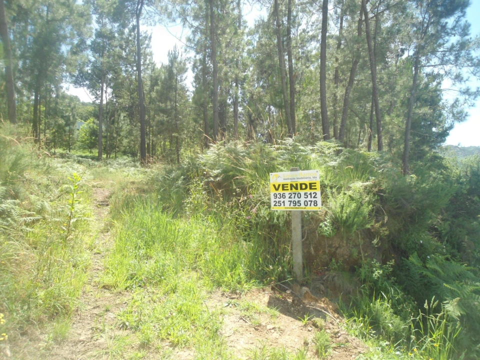 Terreno para Venda em Reboreda e Nogueira Foto 1