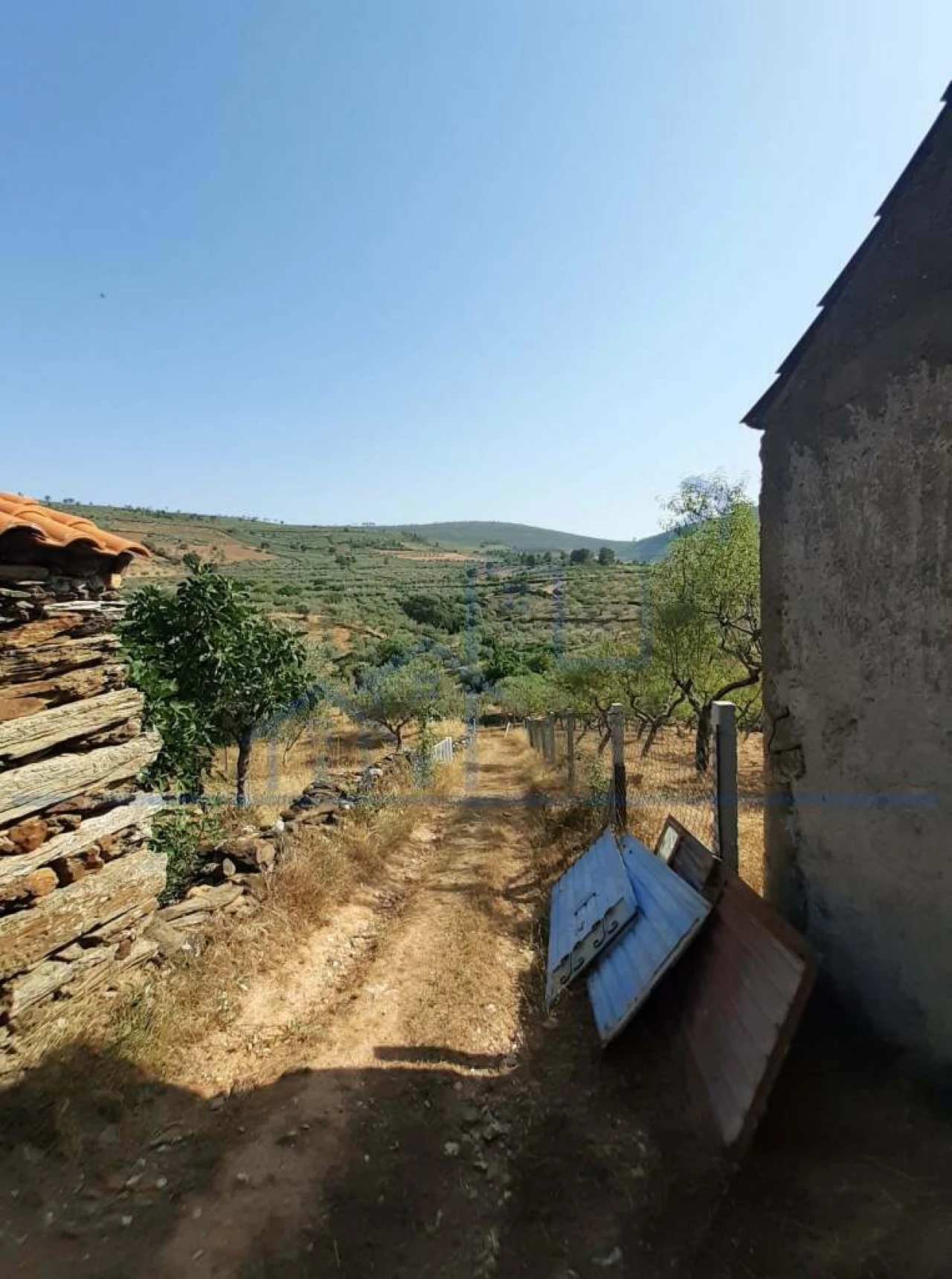 Terreno para Venda em Felgueiras e Maçores Foto 9
