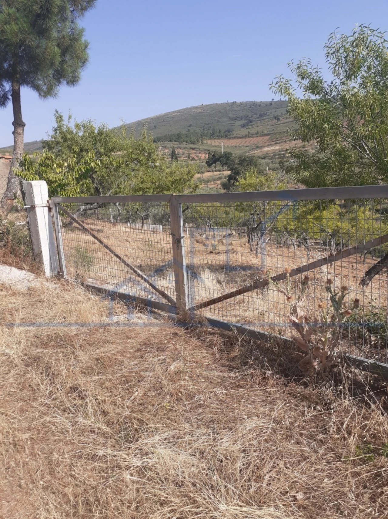 Terreno para Venda em Felgueiras e Maçores Foto 10