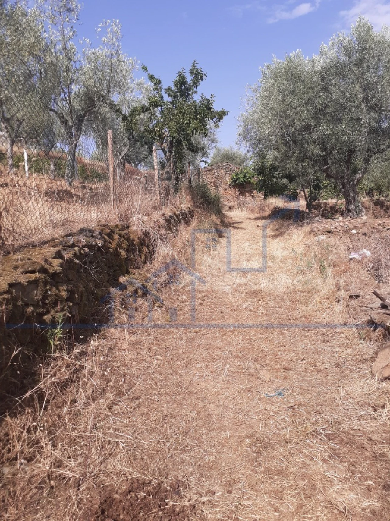 Terreno para Venda em Felgueiras e Maçores Foto 8