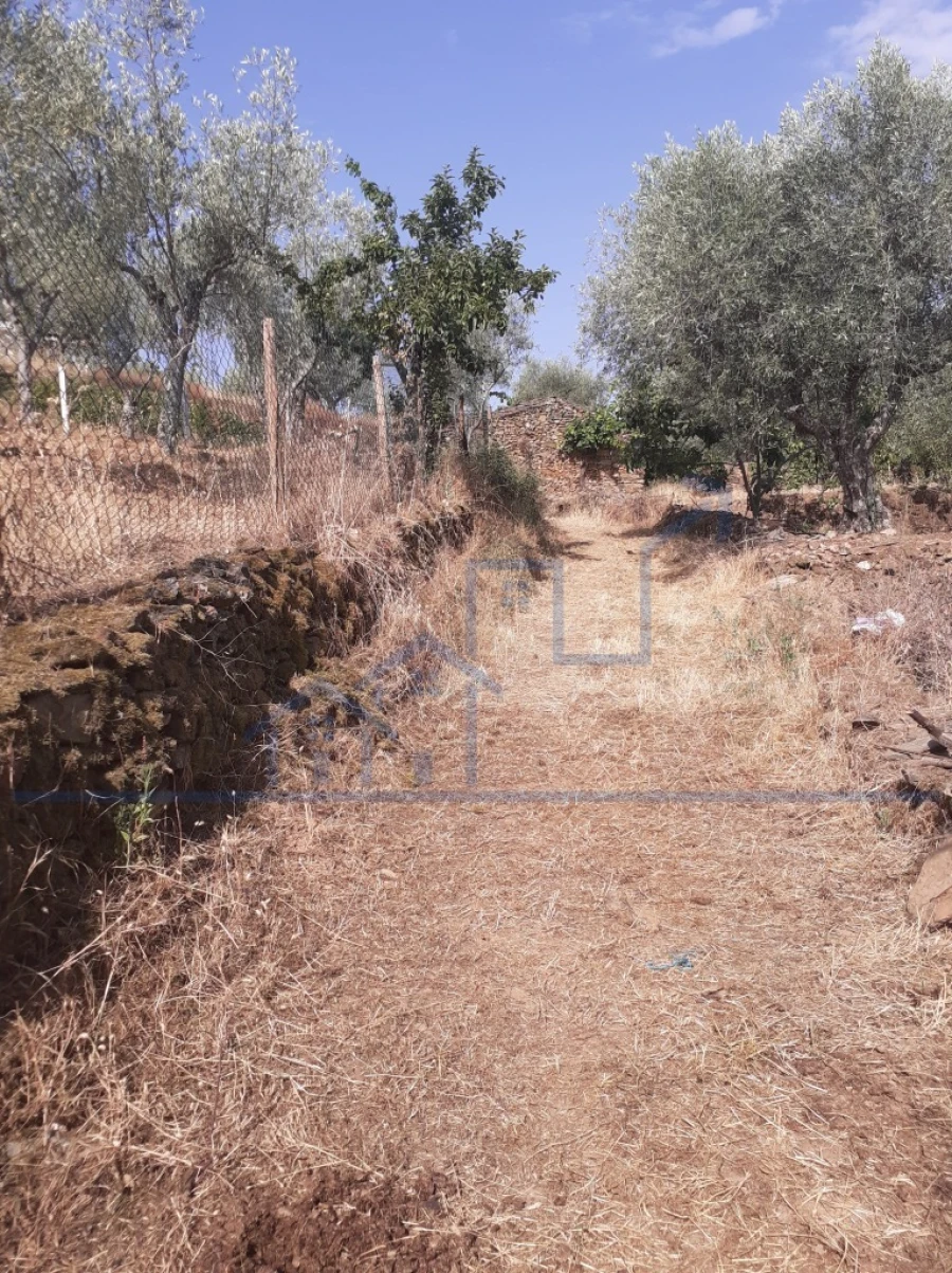 Terreno para Venda em Felgueiras e Maçores Foto 8
